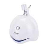Nano Atomization Oxygen Injection Instrument Hand-Held Facial Moisturizing Beauty Instrument