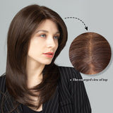 Brown Front Lace Wig Synthetic Hair Large Areas Lace Long Wavy Wigs